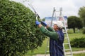 Professional gardener in a uniform cuts bushes with scissors in city park. Worker trimming and landscaping green bushes