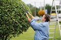 Woman cuts bushes with scissors in city park. Worker trimming and landscaping green bushes