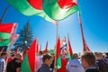 Unidentified Youth From Patriotic Party Brsm Holds Flags On The Celebration Of Victory Day. Royalty Free Stock Photo