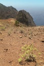Gomera landscape with rocks and plants. Canary Islands