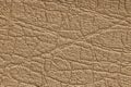 Golden artificial or synthetic leather background with neat texture and copy space Royalty Free Stock Photo