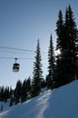 Gondola at ski resort, backlit trees Royalty Free Stock Photo