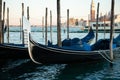 Gondolas berthed on the Venetian lagoon Royalty Free Stock Photo