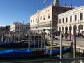 Gondolas and a flying seagull