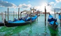 Seagull over gondolas