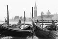 Gondolas moored in Venice