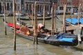 Gondolas moored on the Venice Grand Canal near Rialto Bridge