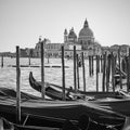 Gondolas and Santa Maria della Salute church in Venice Royalty Free Stock Photo