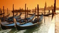 Gondolas and a seagull Royalty Free Stock Photo