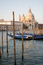 Gondolas in Venice