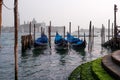 Gondolas in Venice. The gondolas are moored at the mooring posts. Venice, Italy. Royalty Free Stock Photo