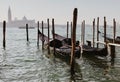 Venetian Gondolas on the Grand Canal of Venice, Italy