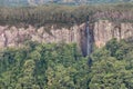 Gondwana rainforest with waterfall at Springbrook National Park