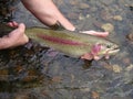 Gone fishing!! Alaska style. Royalty Free Stock Photo