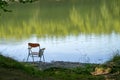 Gone fishing, perhaps, chair left by lake edge. Summer. Background, nobody there in lakeside seat.
