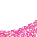 Gone with the Wind rose petals. Realistic vector pink petals on transparent background. Royalty Free Stock Photo