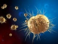 Gonorrhea causing bacteria Royalty Free Stock Photo