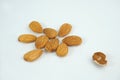 Good almonds nut and one bad almond on white background Royalty Free Stock Photo