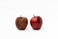 Good apple and wrinkled apple isolated on white background Royalty Free Stock Photo