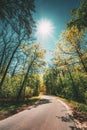 Good Asphalt Forest Road In Sunny Summer Day. Lane Running Through Spring Deciduous Forest
