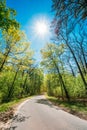 Good Asphalt Forest Road In Sunny Summer Day. Lane