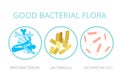 Good bacterial flora. Lactobacilli, bifidobacteria, Escherichia