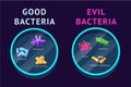 Good and bad bacteria. Lactobacillus and probiotic. Microbe germs in gut. Microbiome magnification research. Lab Royalty Free Stock Photo