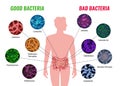 Good And Bad Bacteria Poster