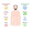 Good and bad bacteria. Probiotics. gut flora