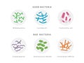 Good and bad bacterial flora icon set isolated on white background. Gut dysbiosis concept medical illustration with Royalty Free Stock Photo