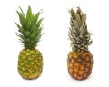 Good and bad piece of pinapple fruit Royalty Free Stock Photo