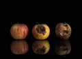Good, bad and rotten apples Royalty Free Stock Photo