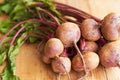 Good eats. Closeup shot a bunch of radishes on a cutting board. Royalty Free Stock Photo