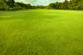 Good environment green grass ground