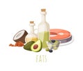 Good fats food vector illustration.