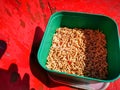 good fish worm bite in a green plastic box Royalty Free Stock Photo