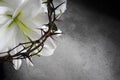 Good Friday, Passion of Jesus Christ. Crown of thorns, nails and white lily on grey background. Christian Easter holiday Royalty Free Stock Photo