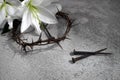 Good Friday, Passion of Jesus Christ. Crown of thorns, nails and white lily on grey background. Christian Easter holiday Royalty Free Stock Photo