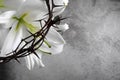 Good Friday, Passion of Jesus Christ. Crown of thorns, nails and white lily on grey background. Christian Easter holiday Royalty Free Stock Photo