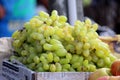 Good Fruits for Your Health, The Sweet Truth Royalty Free Stock Photo