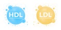 Good HDL and bad LDL cholesterol icon blood vessel density. High-density and low-density lipoprotein. Vector