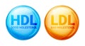 Good HDL and bad LDL cholesterol icon blood vessel density. Vector high cholesterol level Royalty Free Stock Photo