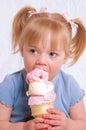 Good Ice Cream Royalty Free Stock Photo