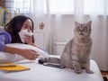 Good looking woman playing with cat in bed. Women have sneezing because of allergies to cat hair or cat saliva. The concept of air Royalty Free Stock Photo