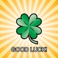 Good luck clover - vector