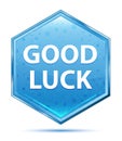 Good Luck crystal blue hexagon button Royalty Free Stock Photo