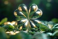 Good luck finding four leaf clover on Saint Patrick's Day. Generative AI Royalty Free Stock Photo