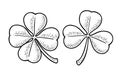 Good luck four and three leaf clover. Vintage vector engraving