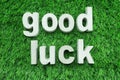 Good Luck made from concrete alphabet top view on green grass Royalty Free Stock Photo
