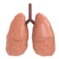 Good lungs Royalty Free Stock Photo